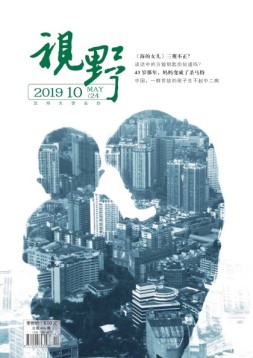 视野 19年10期