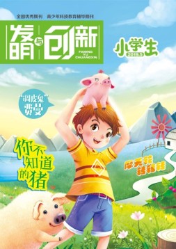 发明与创新少儿天地 19年第5期