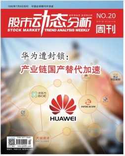 股市动态分析 19年第20期