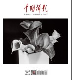 中国摄影 19年5月号