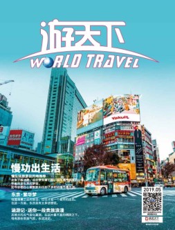 游天下 19年5月号