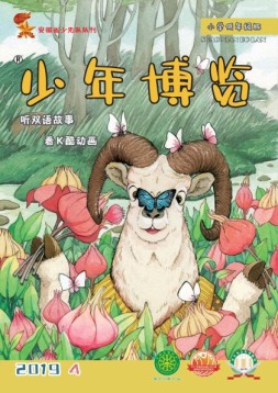少年博览小学低年级版 19年4月号