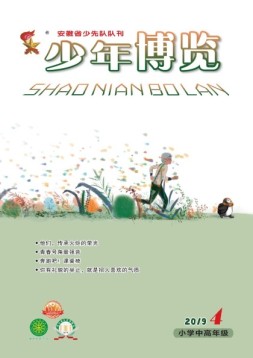 少年博览小学高年级版 19年4月号