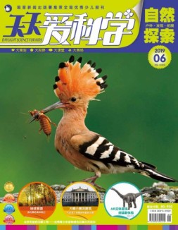 天天爱科学 19年6月