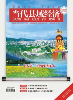 当代县域经济 19年6月