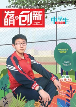 发明与创新中学时代 19年第6期