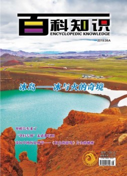 百科知识 19年6月号