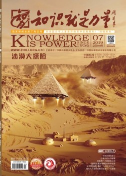 知识就是力量 19年第7期