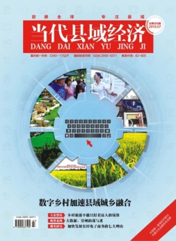 当代县域经济 19年7月