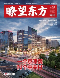 瞭望东方周刊 19年13期