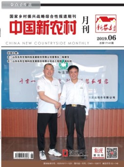 中国新农村月刊 19年6月号