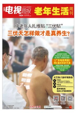 广东电视周报 19年第28期