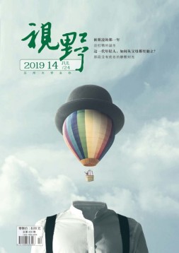 视野 19年14期
