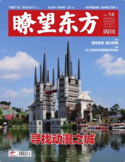 瞭望东方周刊 19年14期