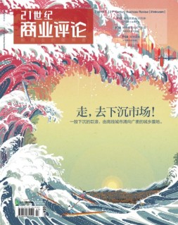 21世纪商业评论 19年7月号
