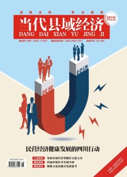 当代县域经济 19年8月号