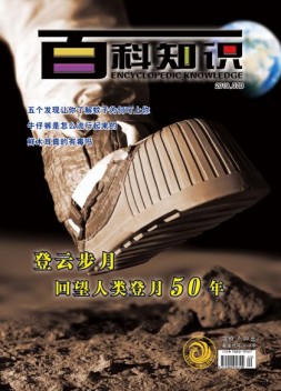 百科知识 19年7月