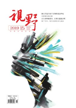 视野 19年15期