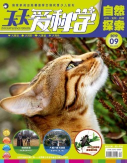 天天爱科学 19年9月号