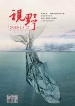 视野 19年17期