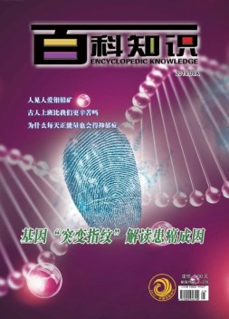 百科知识 19年9月上