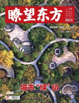 瞭望东方周刊 19年17期