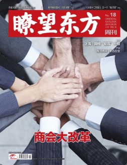 瞭望东方周刊 19年18期