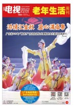 广东电视周报 19年第37期