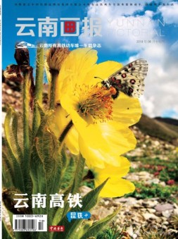 云南画报·云南旅游 19年8月中旬