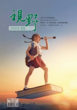 视野 19年18期
