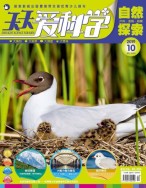 天天爱科学 19年10月号