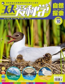 天天爱科学 19年10月号