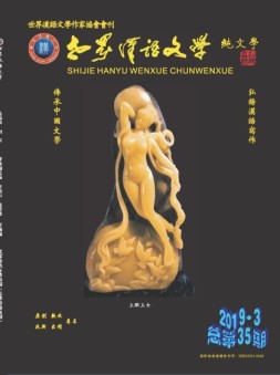 世界汉语文学纯文学 19年第3期