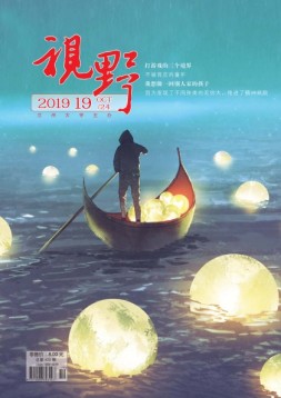 视野 19年19期