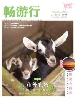 畅游行 19年80期B