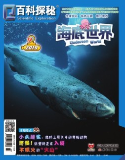 百科探秘海底世界 19年9月号