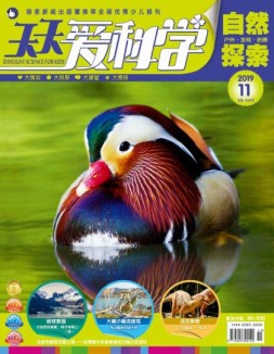 天天爱科学 19年11月号
