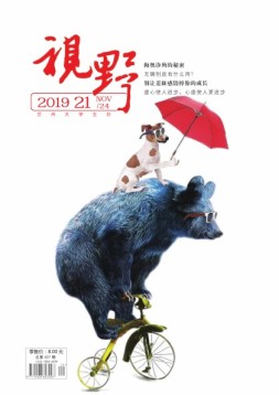 视野 19年21期