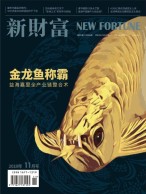 新财富 19年11月号