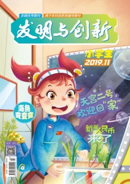 发明与创新少儿天地 19年11月号