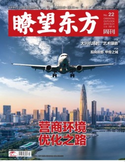 瞭望东方周刊 19年第22期