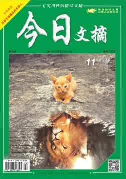 今日文摘 19年11月下