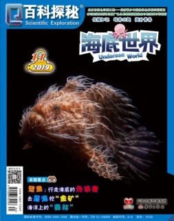 百科探秘·海底世界 19年11月号