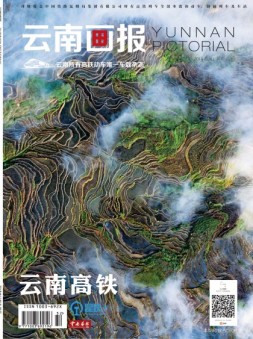 云南画报·云南旅游 19年11月中旬