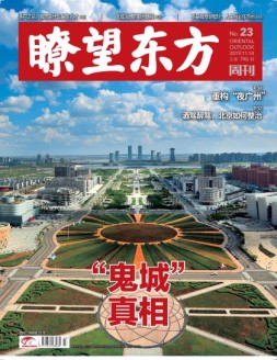 瞭望东方周刊 19年第23期