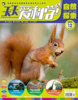 天天爱科学 19年12月号
