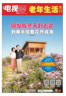 广东电视周报 19年第48期