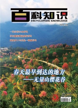 百科知识 19年12月上