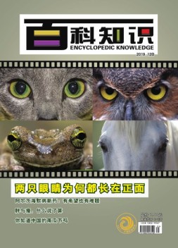 百科知识 19年12月下