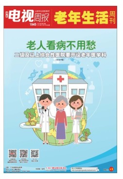 广东电视周报 19年第49期